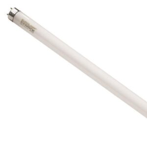 6460fd08-75e2-44dd-b143-5957b299db9a-300x300