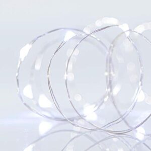 cd1ff41a-c676-45c8-9274-8975784dcbed-300x300