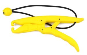 7ba832a3-2c64-4aae-8b6b-dbd3febd93b6-300x192