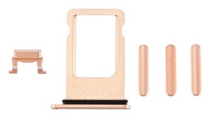 b010886d-8fe9-4fa5-95b0-611ebb8714f5-300x170