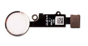 d7312ef0-aa67-41e4-b9f1-dbe951d5148f-300x158