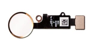 ddded051-30ba-4e49-9c3b-8f885cd9c782-300x153