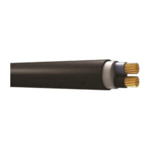 b1372de1-bf5e-408b-ab51-3c1b23171a1c-300x300