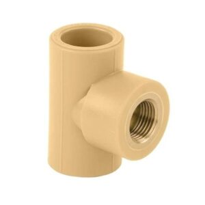 fbb5f88d-8da9-412a-ae58-537cbe18ca64-300x300