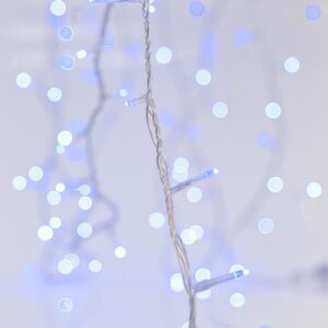 01add222-1b32-49ea-8e7a-e7f0353448ef-300x300