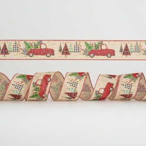 030f76e1-405c-4779-9079-7d5cc121e91d-300x300