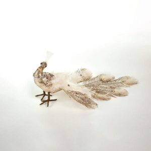 052d78c4-a30e-40ed-a173-4cb0765328c9-300x300