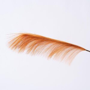 06483d41-f8a3-4412-93a8-de755cf978cc-300x300