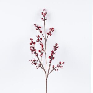 0a31dfbd-b8aa-4489-972b-e6f18065af9b-300x300