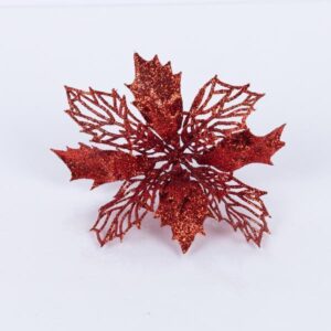 0ccdb838-539f-4737-9dbd-2688ddea9543-300x300