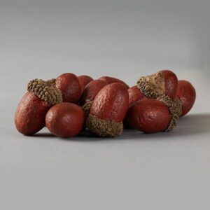 13f421d0-3552-4790-bd42-63374b01f73f-300x300