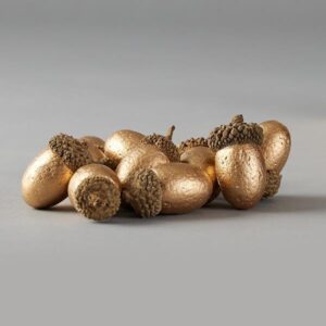 16ce3f7e-0a62-41d8-bfec-d2b0566a0b74-300x300