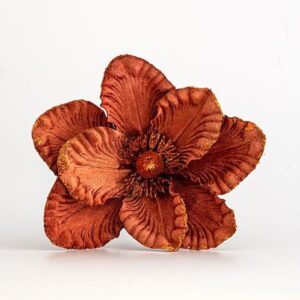 18fdea2e-879b-4d60-a695-fac6ec78279a-300x300