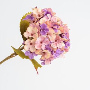 19ee6b26-a8c7-42ff-aae2-16b7832d6923-300x300