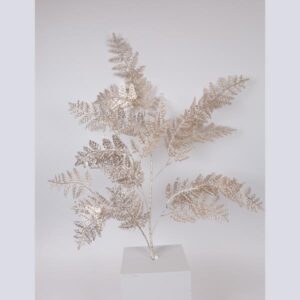 1fd7366f-2deb-477f-9914-0df706c03b8f-300x300