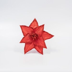 28e48b6e-9b53-4d32-a99c-b5bfd51c708f-300x300