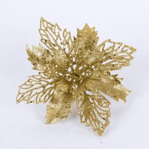 29e188cf-7a7b-4afe-8b40-d617425d4d48-300x300