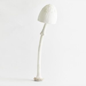 2a9c5f6b-3127-4be0-b9bd-99f52a1c9d3a-300x300