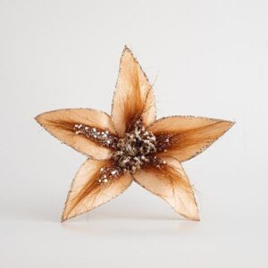 2e22c4e1-1a2c-4fe1-9a15-7966fc638148-300x300