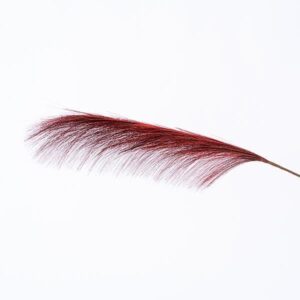 2fc0b958-0b04-4109-a620-23f94b3b8df9-300x300