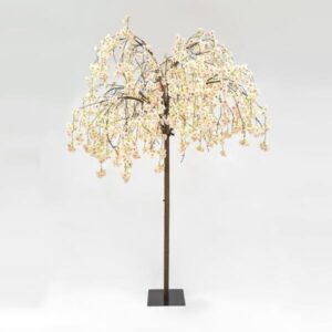 36c773cb-15ef-4f83-82af-68313f62192a-300x300