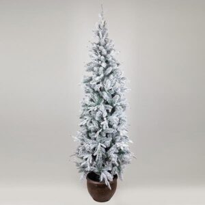 372091b4-9bbb-4530-9e81-22924abd0396-300x300