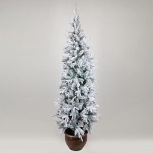 3e24188a-f102-48ce-96de-13f7ec917f27-300x300