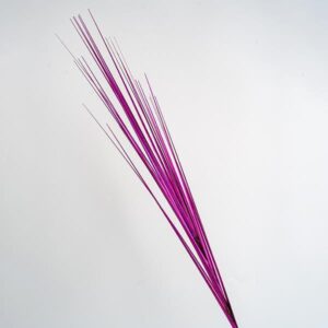 3f42927e-bb85-4bc8-8156-eec22f24203b-300x300