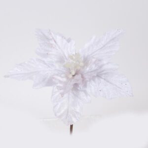 415c17a7-33a2-4571-8a3e-57ba25282628-300x300