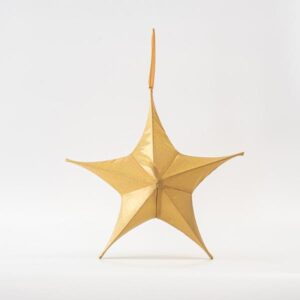 47f0b64e-9d21-47e5-965c-2b58ba701c68-300x300