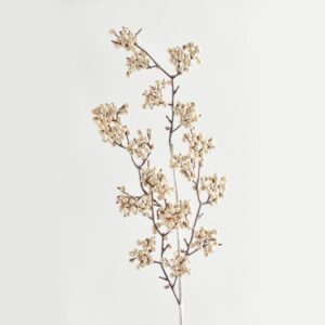 4d48f137-7c15-4226-b016-3afe3d771c31-300x300