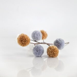 4e6979fa-a148-41e1-9b95-90f6ed6e1f09-300x300