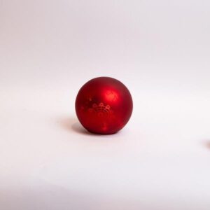 5086a622-e1e7-42a1-9529-5e463d4be0e7-300x300