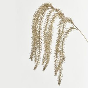 5108fa04-a726-418c-9a88-f5272a4c2e28-300x300