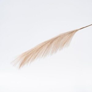 516ffda1-d9f8-4370-a9f1-fa171887e618-300x300