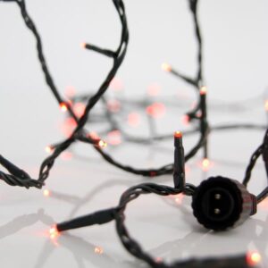 54548e9a-d354-4de1-8451-79b3abb69878-300x300