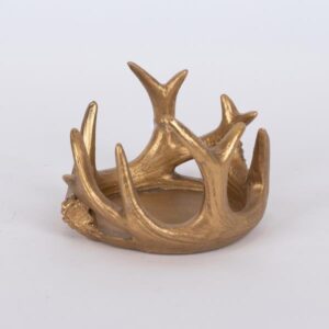 55164316-8ba6-4721-a430-c1297cd49822-300x300