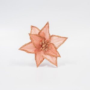 5b12b1fe-6d08-40cd-a3b3-f775818e5769-300x300