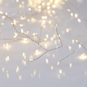 5c2dbb82-687f-497a-bd6a-c90683dbc139-300x300