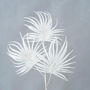 5d61e2d5-42e7-4cba-96e8-5c1e25272fd1-300x300