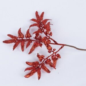 6137400d-d1c2-4e92-9d4d-e8e2c3595223-300x300