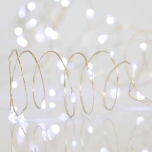 61eecede-3895-4091-a535-217b9029e4fd-300x300