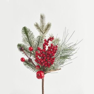 64510dc7-27d8-4f07-9989-43bc4ff68269-300x300