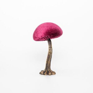 64887c2d-ba91-4ab4-81ec-6f179313d1be-300x300