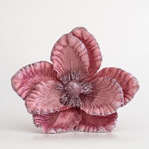 6d61769f-eb51-4f63-9e31-7f92eabddc0b-300x300