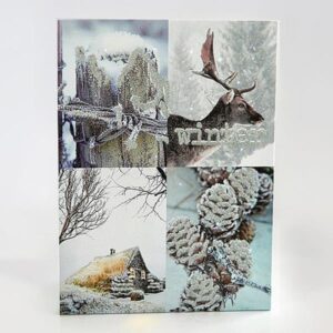 6fd66db0-247e-4d64-bb21-03b50a84a90c-300x300