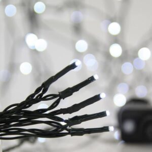 70c018a9-2087-4739-b72b-3e0f830ca688-300x300