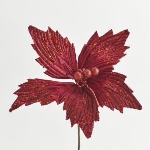 71677675-a92d-4729-8e1e-7fabb3cf07cb-300x300