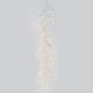 7277a856-fc3d-478d-b5c6-a6361f5a7d8b-300x300