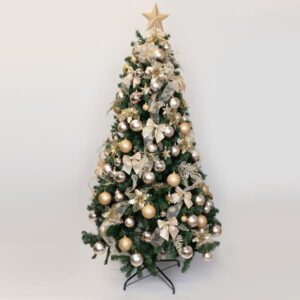 72b0e87c-203c-4384-a196-7729da98d2e1-300x300